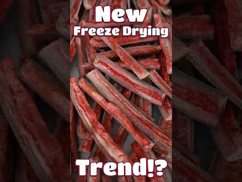 This Freeze Dried Snack Shouldn’t Work (But It Does)