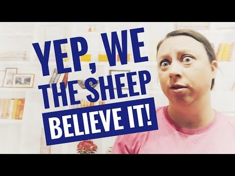 They Really Think we are this stupid!! Dumb Americans!