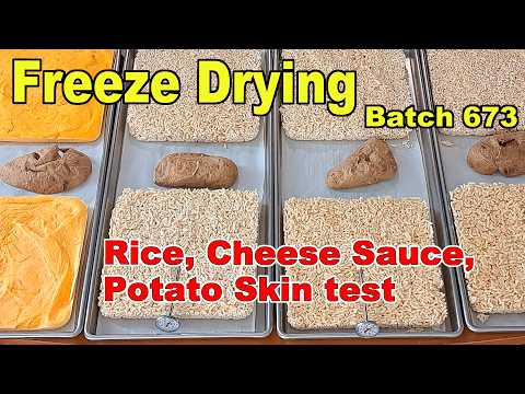 Freeze Drying Rice, Cheese Sauce, and Potato Skin test - Batch 673