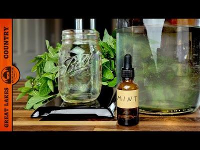 Making Essential Oils at Home with My DIY Distiller - Mint Oil &;amp; Hydrosol