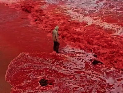 ‘Blood Rain’ Turns A Beach In Iran Bright Red Just Before The Blood Moon Purim Eclipse On Thursday Night