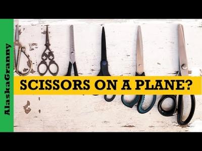 Scissors On A Plane...TSA What Is Allowed Carry On Luggage