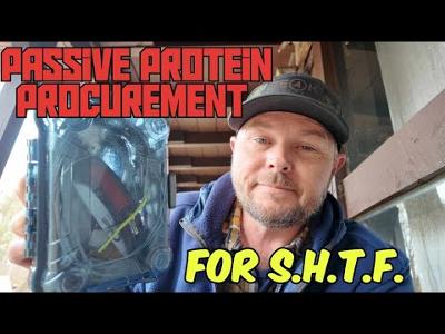 Passive Protein Procurement for SHTF #survival #preparedness #trapping