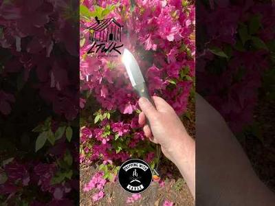 LT Wright Genesis @LTWrightKnives - Fixed Blade - EDC - Bushcraft